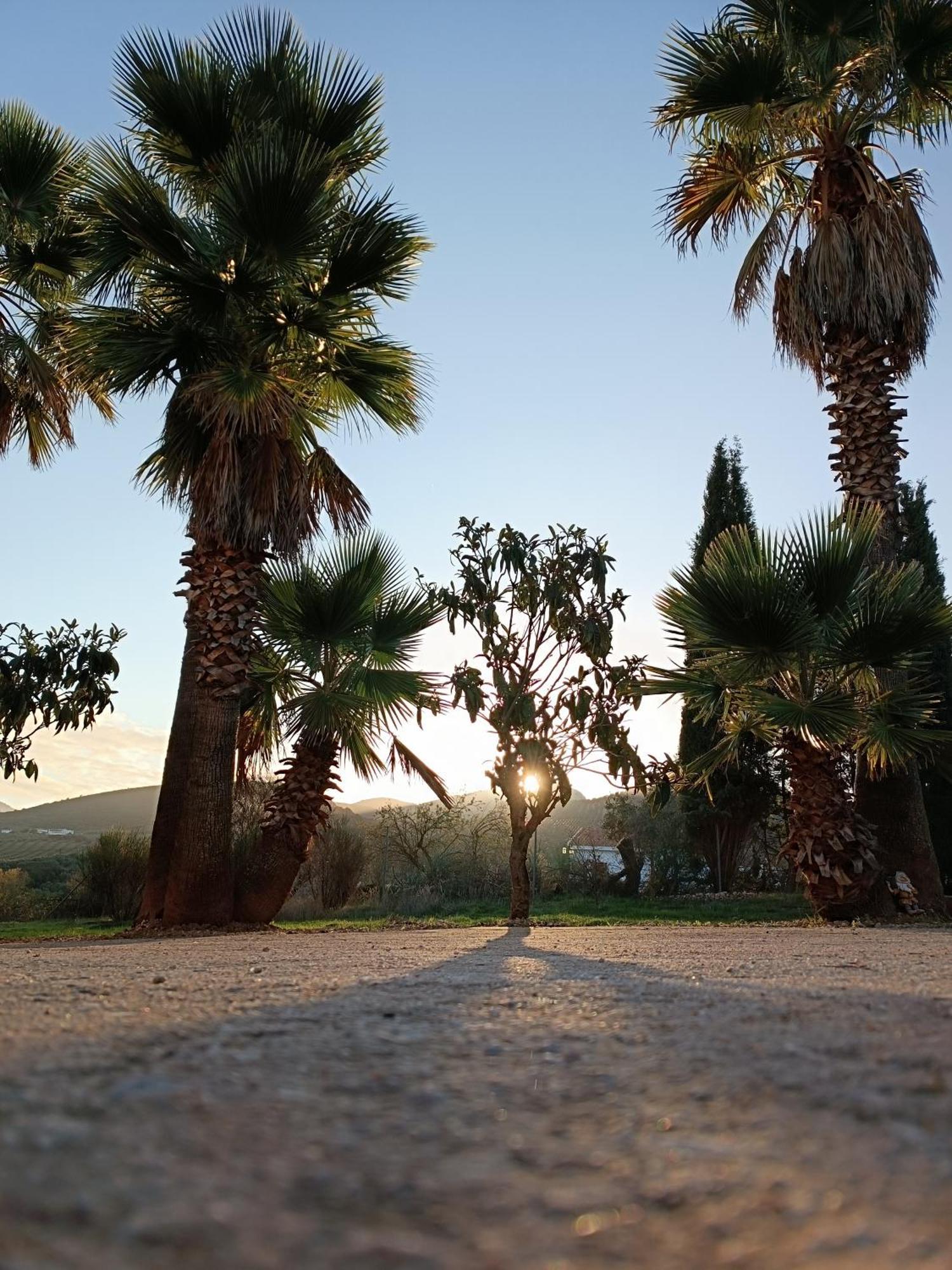 Cortijo Petra Bed & Breakfast Villanueva del Rosario Exterior foto